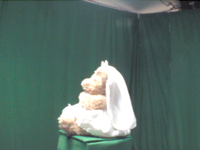 225 Degrees _ Picture 9 _ Wedding Dress Teddy Bear.png